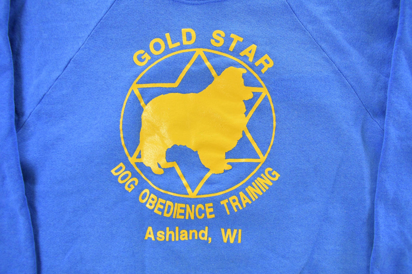 Vintage 1990s Dog Training Raglan Crewneck Sweatshirt Men's Medium from propervintagecanada