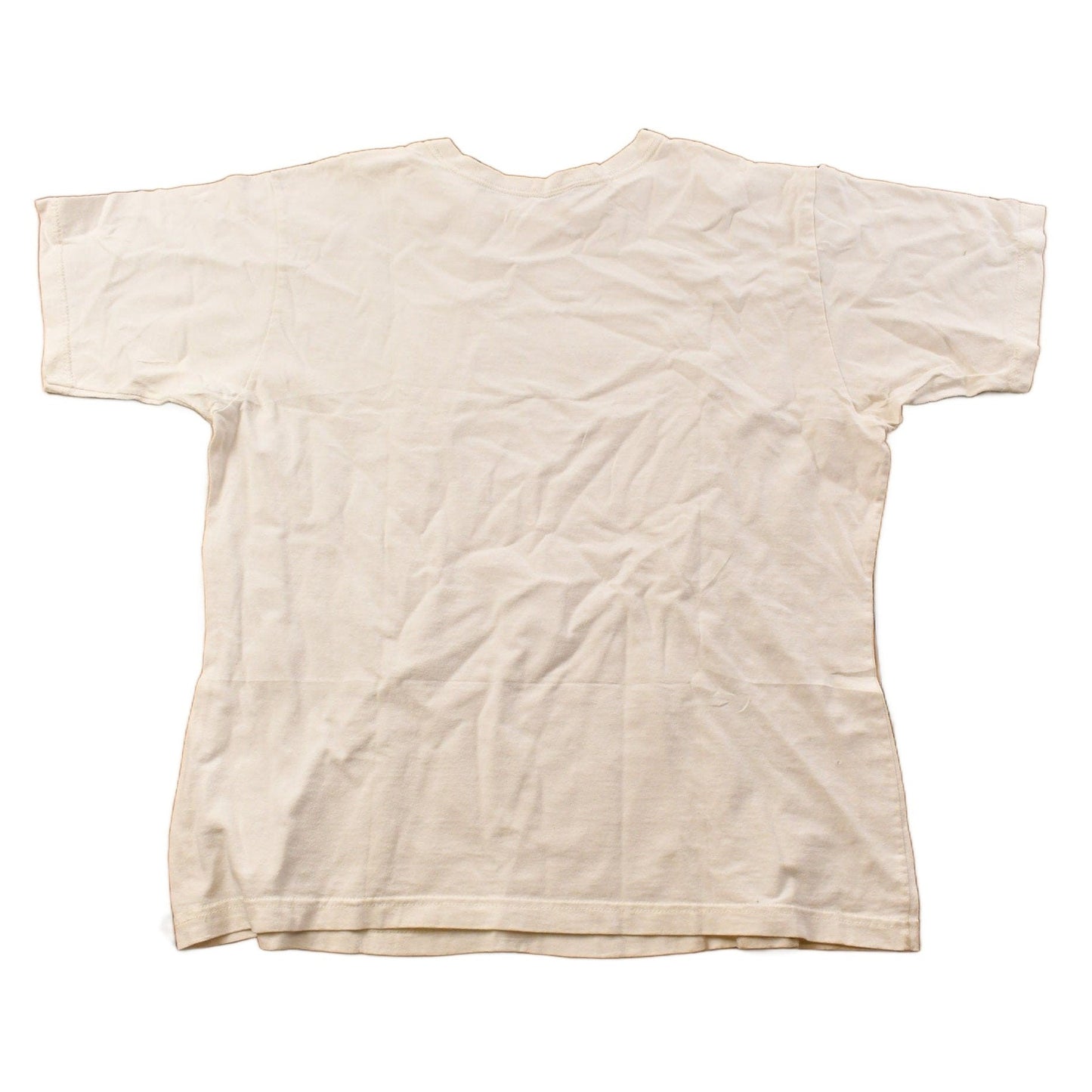 Vintage 1990s Dragonfly Graphic T Shirt Men's Medium from propervintagecanada