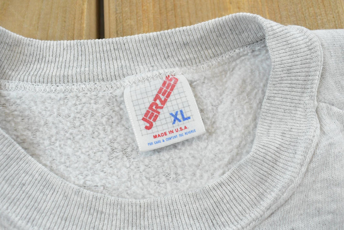 Vintage 1990s Elkader Bridge Iowa Souvenir Raglan Crewneck Sweatshirt Men's M / Made in USA / Travel Vacation Destination / 90s Streetwear from propervintagecanada
