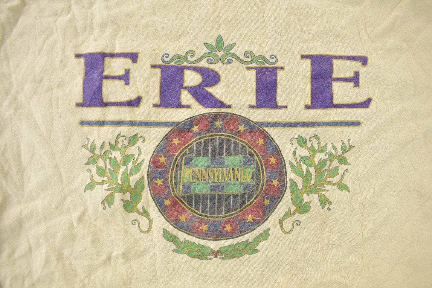 Vintage 1990s Erie Pennsylvania Souvenir T-Shirt Men's XL from propervintagecanada