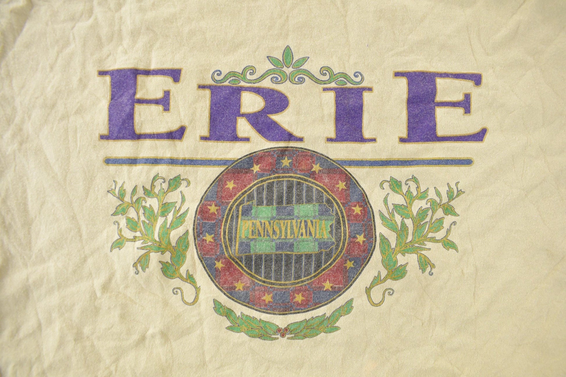 Vintage 1990s Erie Pennsylvania Souvenir T-Shirt Men's XL from propervintagecanada