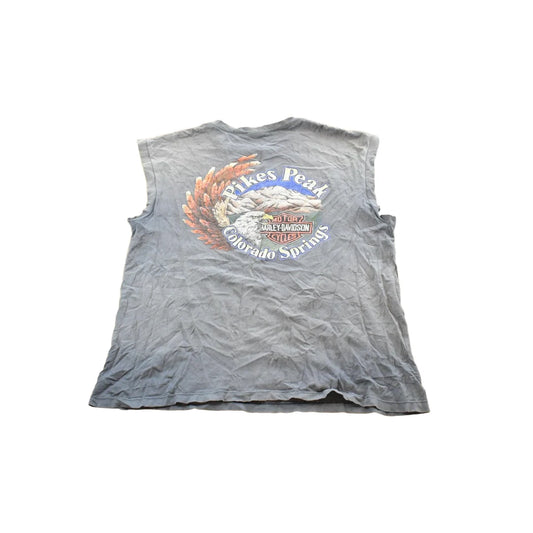 Vintage 1990s Feel the Heat Harley-Davidson Pikes Peak Colorado Biker Tank Top Mens XL from propervintagecanada