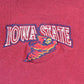 Vintage 1990s Galt Sand Iowa State University Collegiate Crewneck / Embroidered / NCAA Sweatshirt / Sportswear / Americana from propervintagecanada