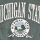 Vintage 1990s Galt Sand Michigan State University Crewneck Sweater Womens Cropped XL from propervintagecanada