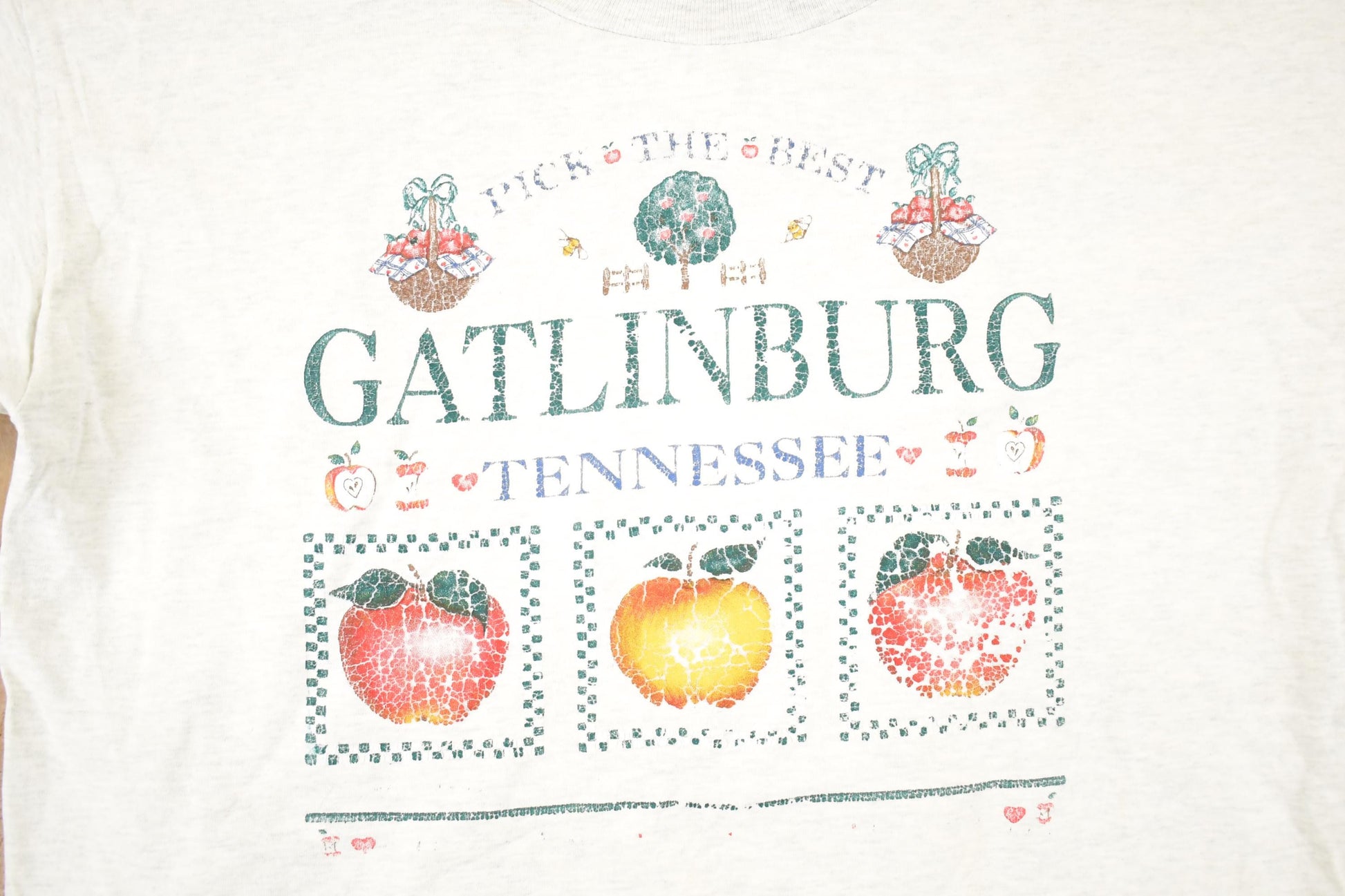 Vintage 1990s Gatlinburg Tennessee Souvenir Travel T-Shirt Men's L from propervintagecanada