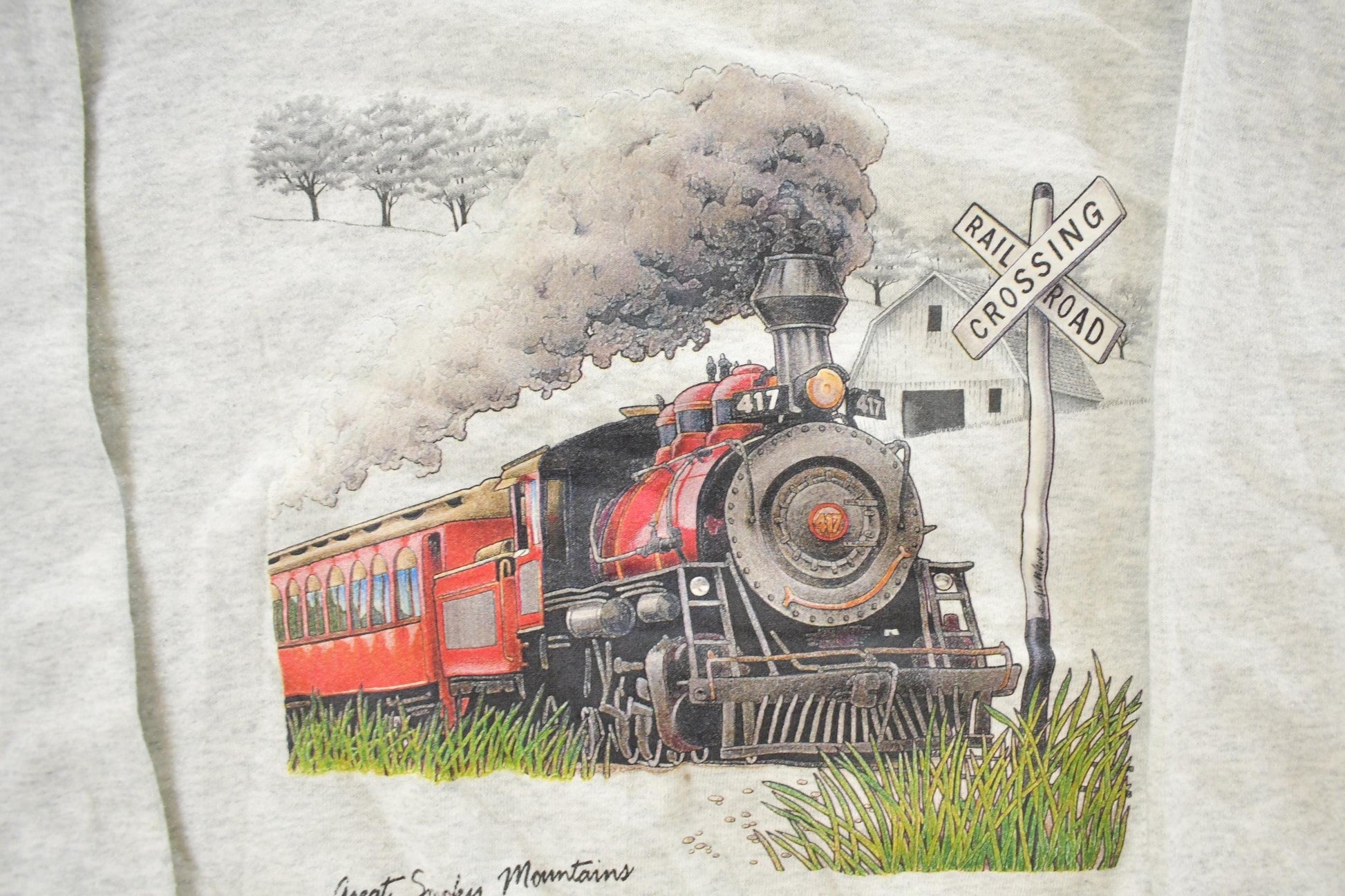 Vintage 1990s Great Smokey Mountains Railway Crewneck Sweatshirt Men's Small from propervintagecanada