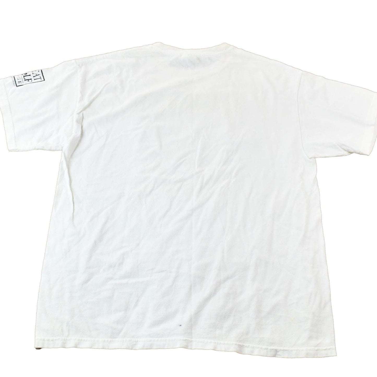 Vintage 1990s Great Wolf Lodge Niagara Falls Canada Single Stitch Souvenir Graphic Travel T-Shirt Men's Large from propervintagecanada