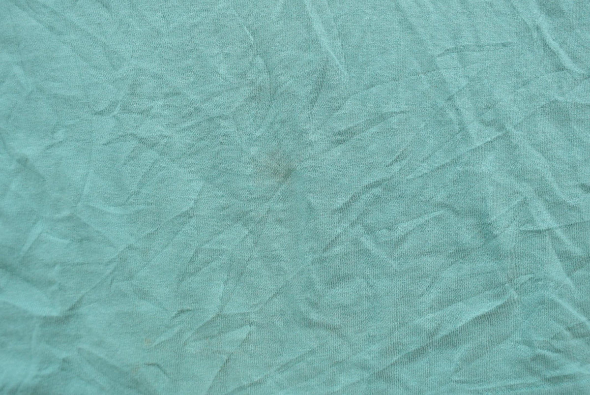 Vintage 1990s Hanes Her Way Teal Blank T-Shirt Men's L from propervintagecanada