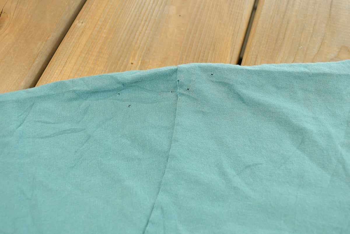 Vintage 1990s Hanes Her Way Teal Blank T-Shirt Men's L from propervintagecanada