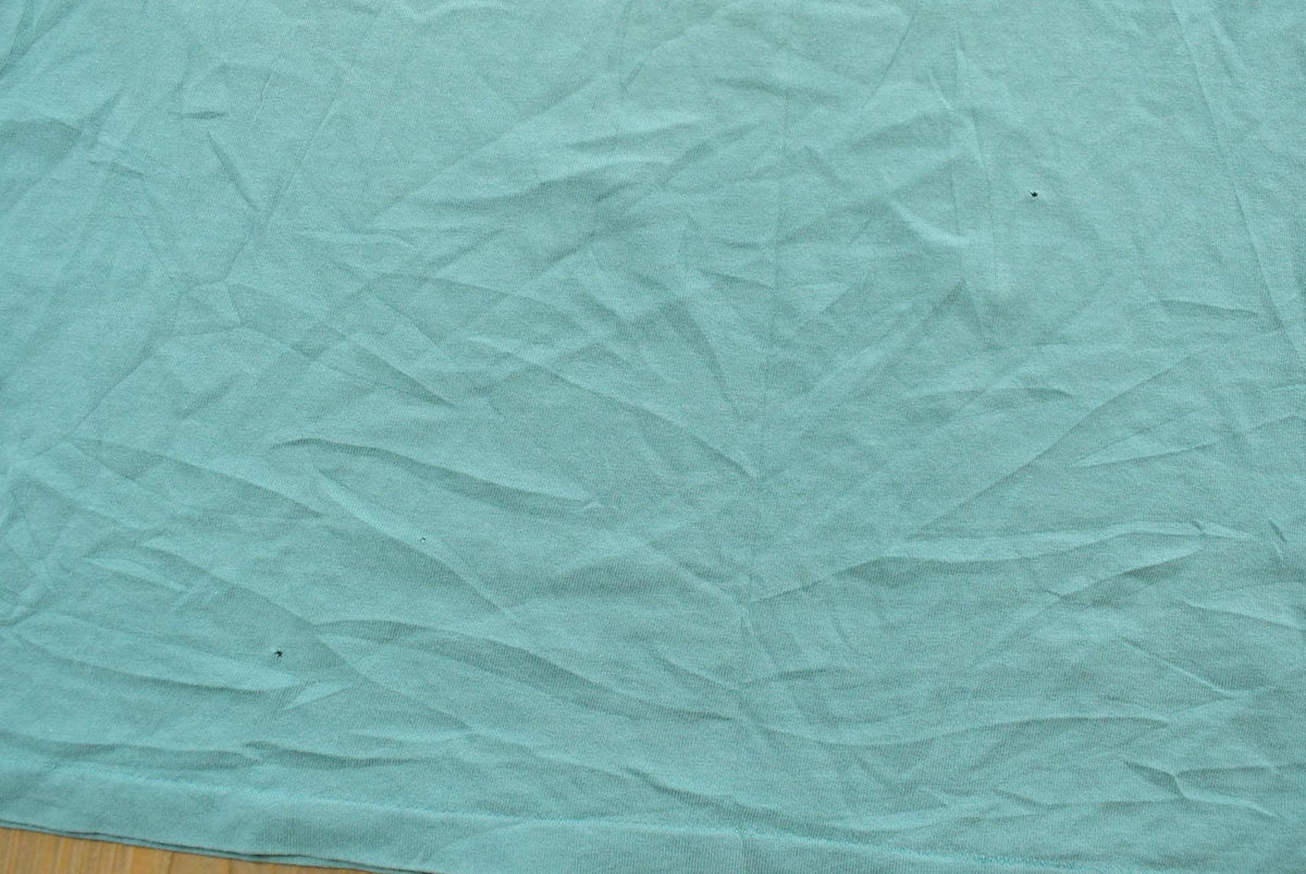 Vintage 1990s Hanes Her Way Teal Blank T-Shirt Men's L from propervintagecanada