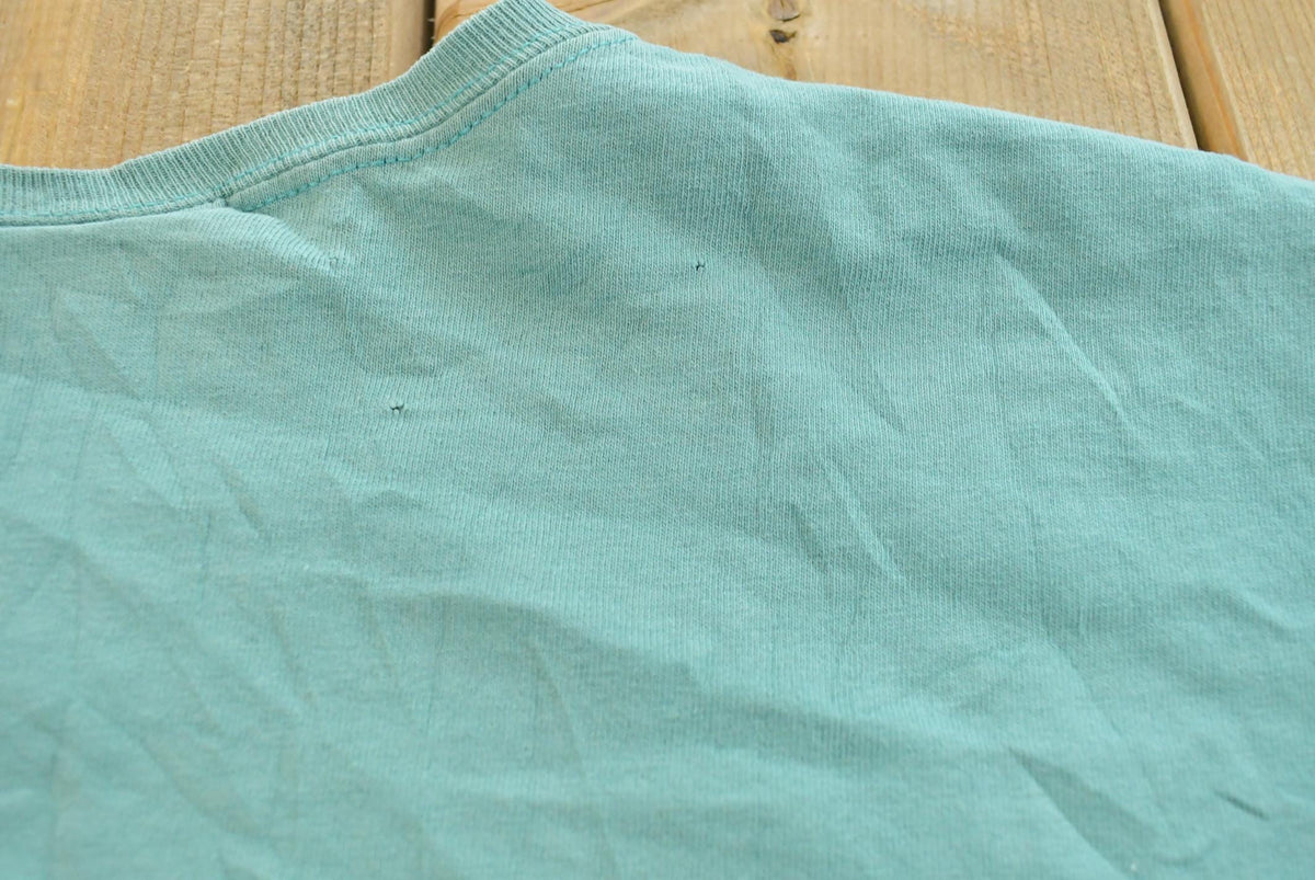 Vintage 1990s Hanes Her Way Teal Blank T-Shirt Men's L from propervintagecanada