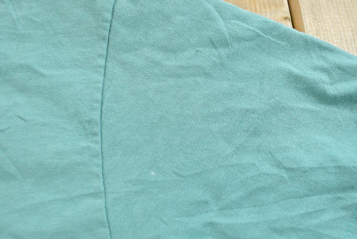 Vintage 1990s Hanes Her Way Teal Blank T-Shirt Men's L from propervintagecanada