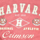 Vintage 1990s Harvard Crimson University Crewneck Sweater Men's L from propervintagecanada