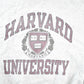 Vintage 1990s Harvard University Champion Collegiate Souvenir T-Shirt Men's XL from propervintagecanada