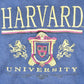 Vintage 1990s Harvard University Collegiate Crewneck Men's Large from propervintagecanada