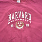 Vintage 1990s Harvard University Collegiate Crewneck Men's Small from propervintagecanada