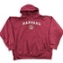 Vintage 1990s Harvard University Collegiate Hoodie / Harvard Sweatshirt / Sportswear / Americana / 90s Harvard from propervintagecanada