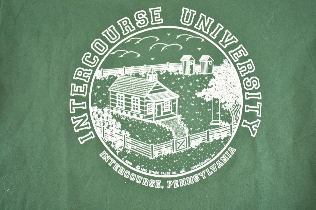 Vintage 1990s Intercouse Pennsylvania Collegiate T-Shirt Men's M from propervintagecanada