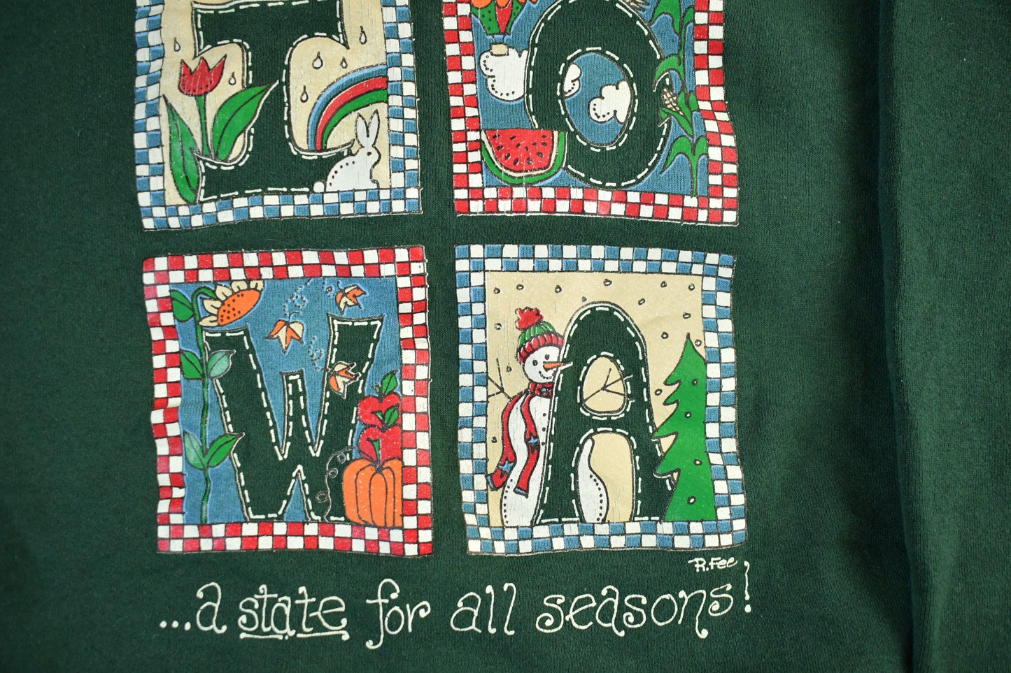 Vintage 1990s Iowa Crewneck Sweatshirt Mens Large from propervintagecanada