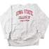Vintage 1990s Iowa State College of Design Champion Reverse Weave Crewneck Sweatshirt Men&