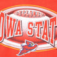 Vintage 1990s Iowa State Cyclones Pro Player University Crewneck Mens L from propervintagecanada