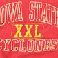 Vintage 1990s Iowa State Cyclones University Collegiate Crewneck Men's Large from propervintagecanada