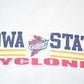 Vintage 1990s Iowa State Cyclones University Crewneck Mens XL from propervintagecanada