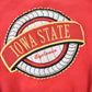 Vintage 1990s Iowa State University Crewneck Men's Large from propervintagecanada