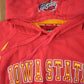 Vintage 1990s Iowa State University Cyclones Collegiate Embroidered Hoodie Men's Large from propervintagecanada