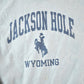 Vintage 1990s Jackson Hole Wyoming Champion Reverse Weave Sweatshirt Men's Medium from propervintagecanada