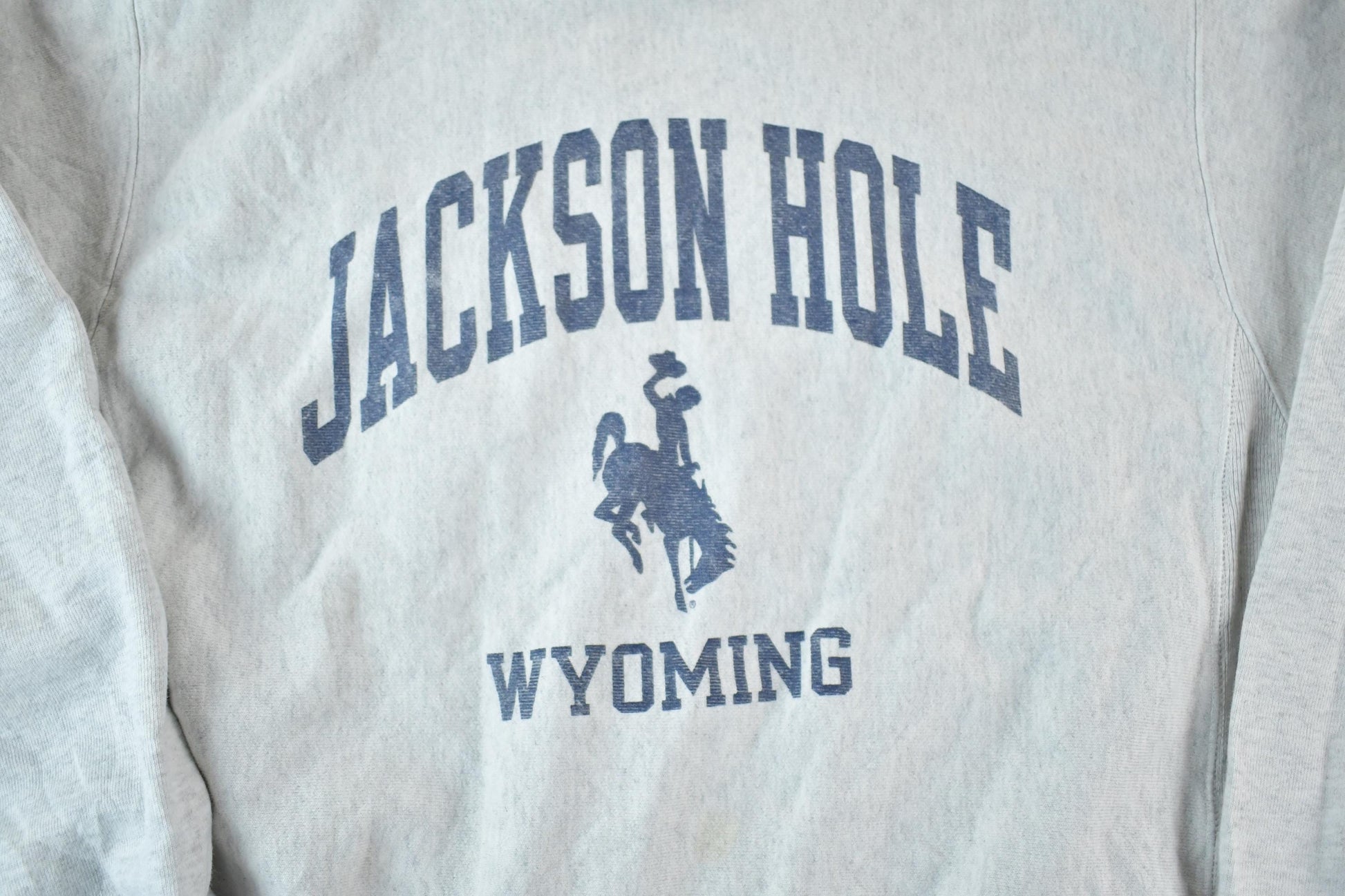 Vintage 1990s Jackson Hole Wyoming Champion Reverse Weave Sweatshirt Men's Medium from propervintagecanada