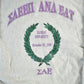 Vintage 1990s Kansas University Alpha Epsilon Crewneck Men's XL Men's Large from propervintagecanada