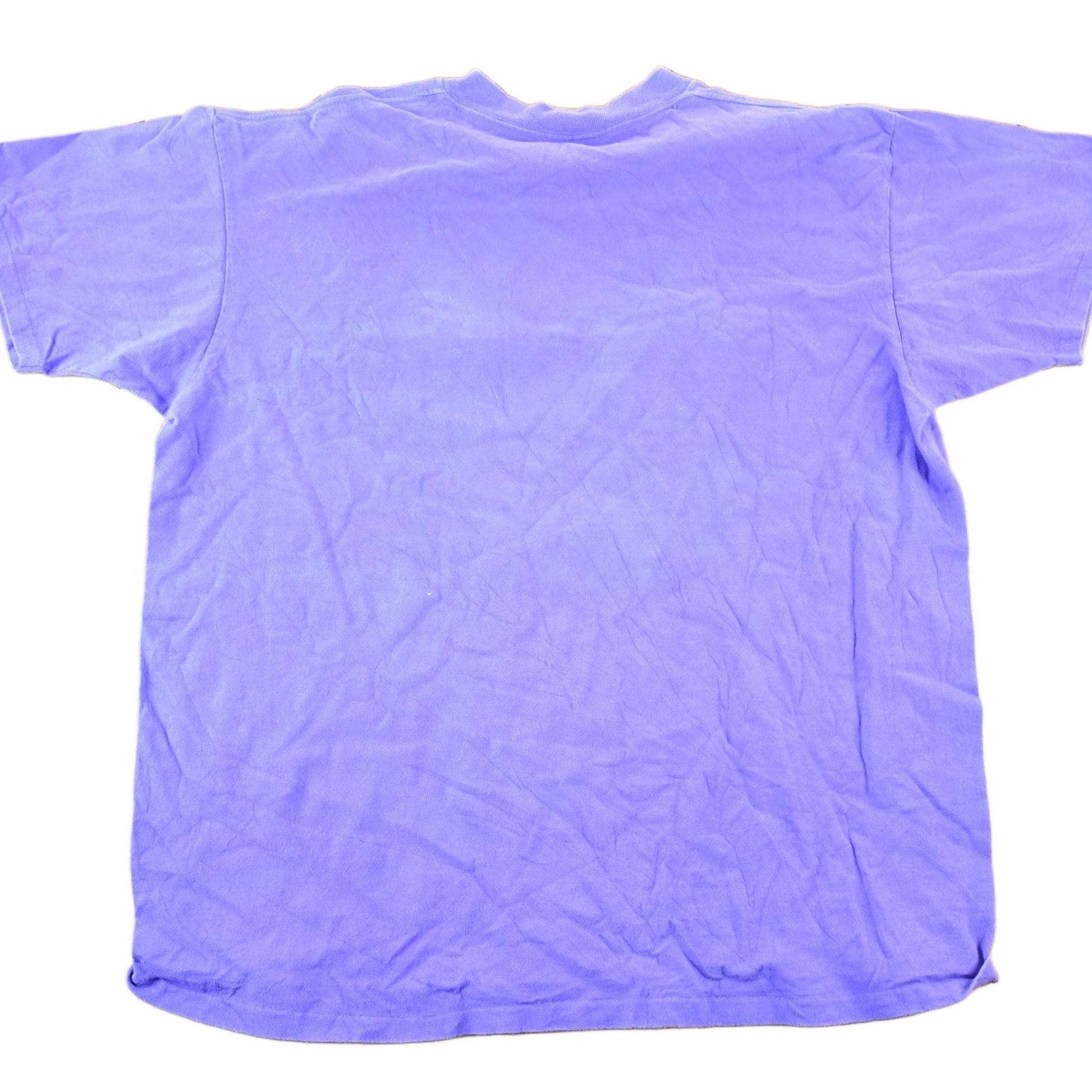 Vintage 1990s Lake Havasu Arizona Souvenir T-Shirt Mens XL from propervintagecanada