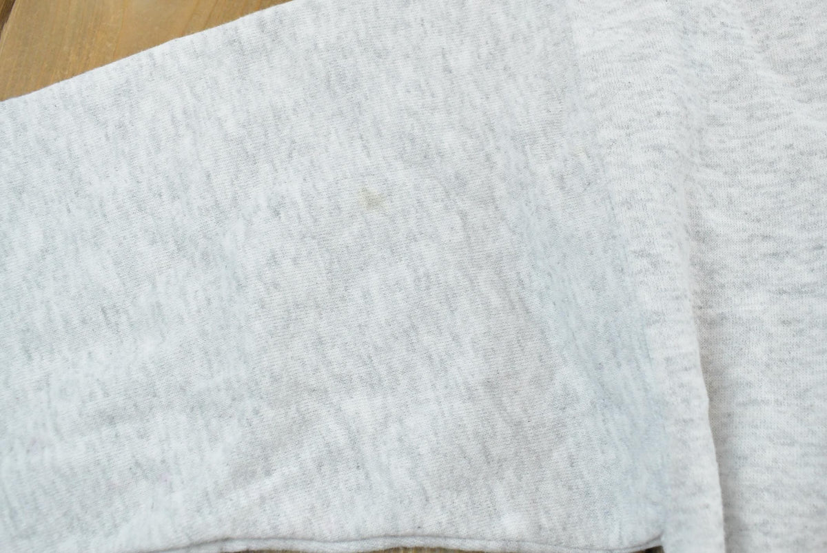 Vintage 1990s Lee Heavyweight Blank Grey Crewneck Sweatshirt Men's M from propervintagecanada