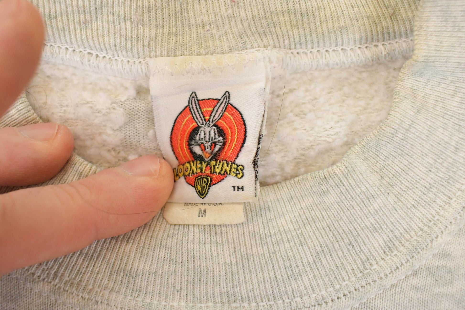 Vintage 1990s Looney Tunes Taz Embroidered Crewneck Men's L from propervintagecanada