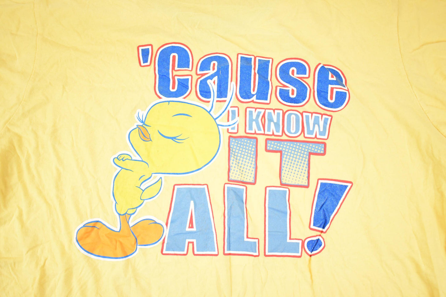 Vintage 1990s Looney Tunes Tweety Bird My Opinion Souvenir T-Shirt Women's XXL from propervintagecanada
