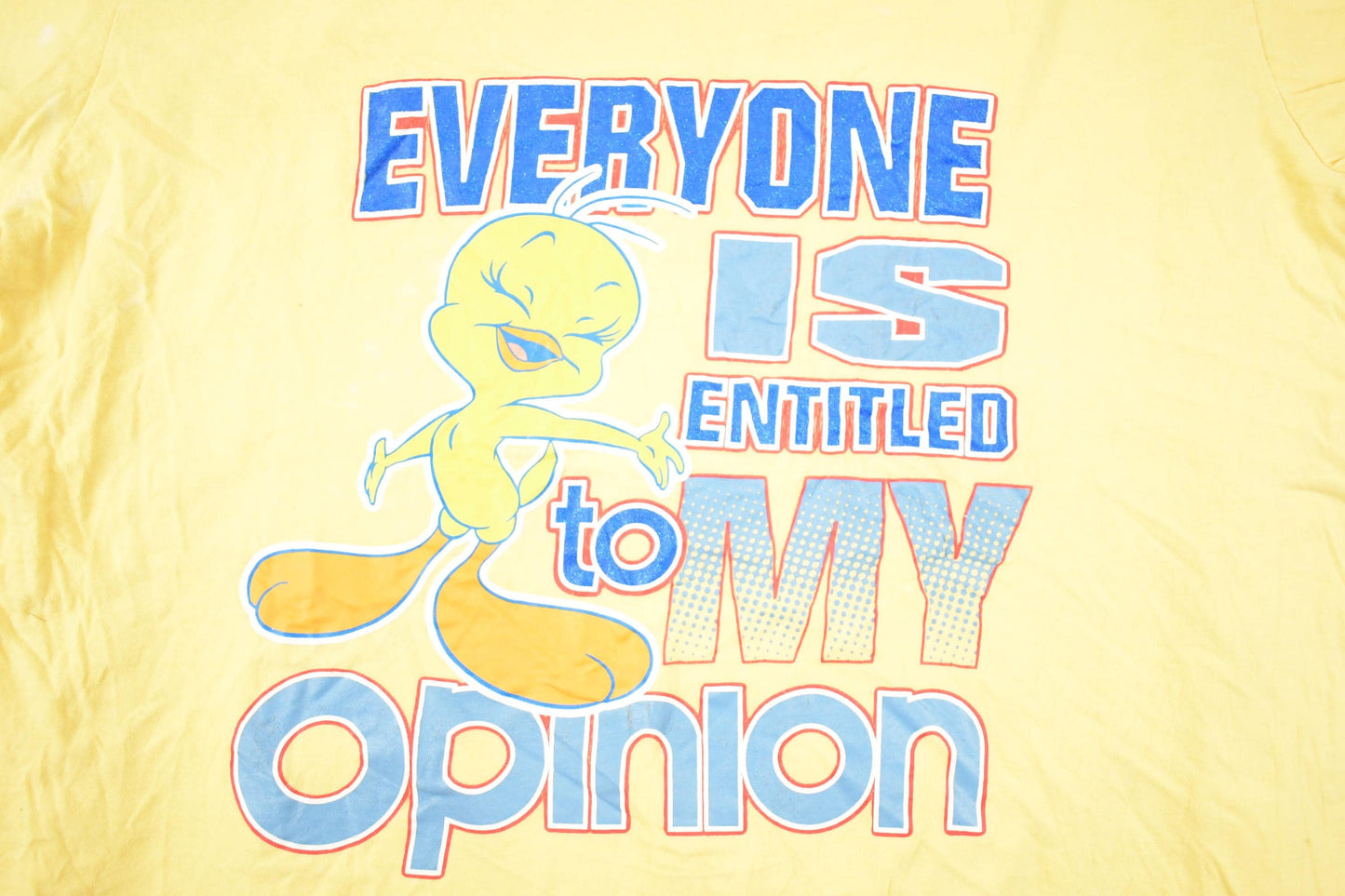 Vintage 1990s Looney Tunes Tweety Bird My Opinion Souvenir T-Shirt Women's XXL from propervintagecanada