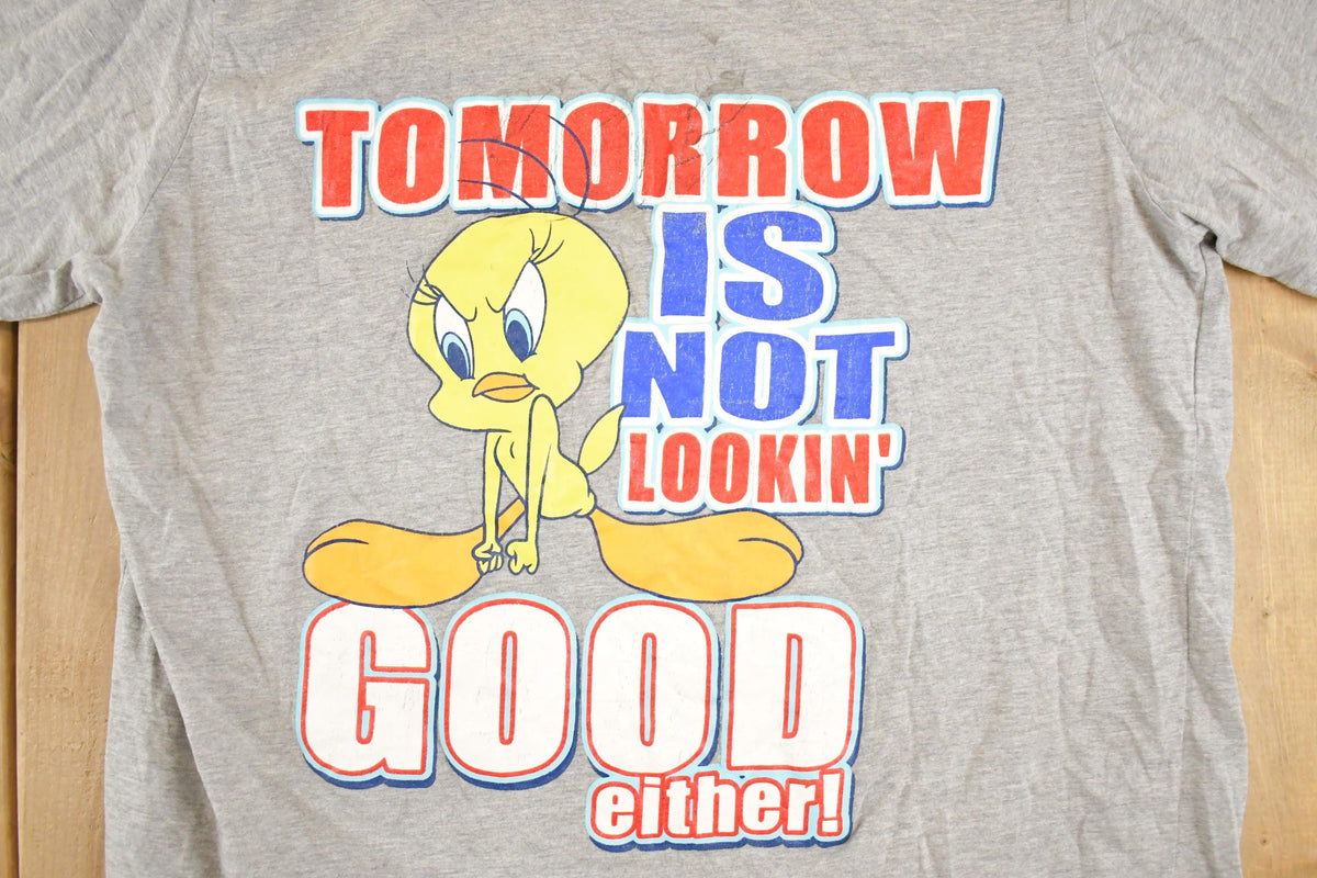 Vintage 1990s Looney Tunes Tweety Bird T Shirt Women's XL from propervintagecanada