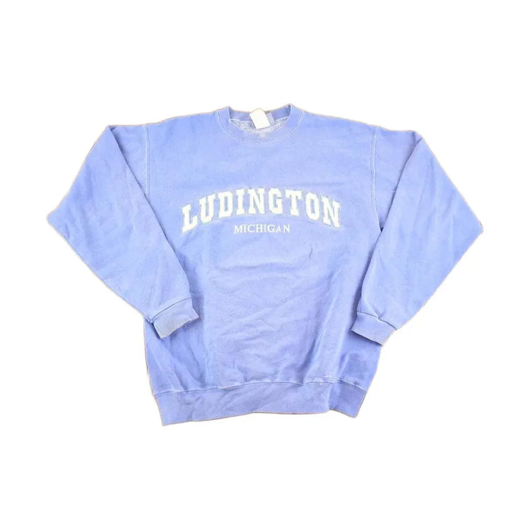 Vintage 1990s Ludington Michigan Souvenir Crewneck Sweatshirt Men's M from propervintagecanada