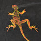 Vintage 1990s Marlboro Adventure Team Lizard Graphic T-Shirt Men's XL / 90s T Shirt / Streetwear / Graphic Tee / Made in USA / Sun Faded from propervintagecanada