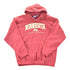 Vintage 1990s Minnesota Golden Gophers University Hoodie Mens L from propervintagecanada