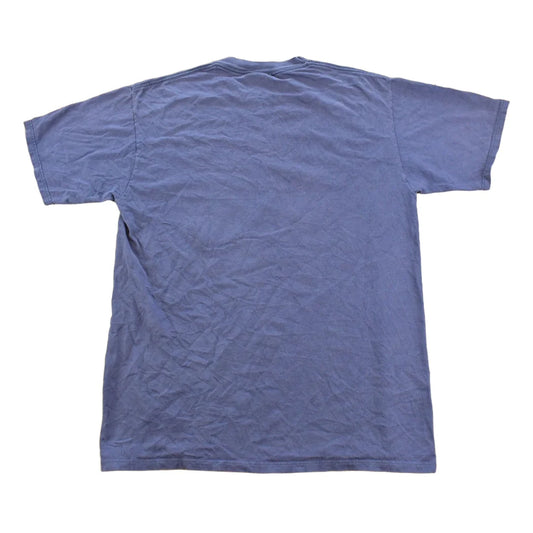 Vintage 1990s Minnesota Southwestern Souvenir Travel Graphic T Shirt Men's M from propervintagecanada