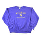 Vintage 1990s Minnesota Vikings NFL Lee Sport Crewneck Sweatshirt from propervintagecanada