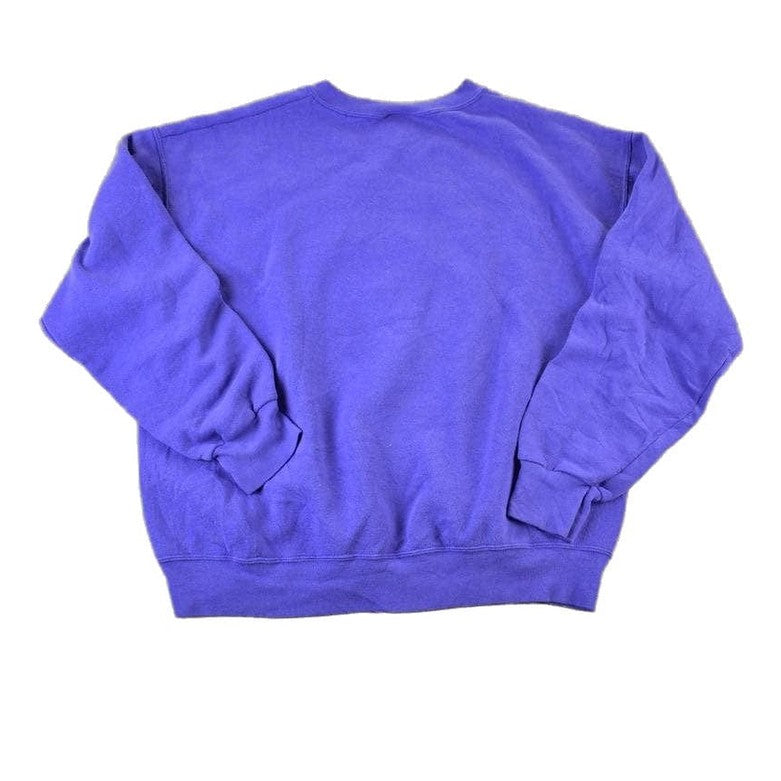 Vintage 1990s Minnesota Vikings NFL Lee Sport Crewneck Sweatshirt from propervintagecanada