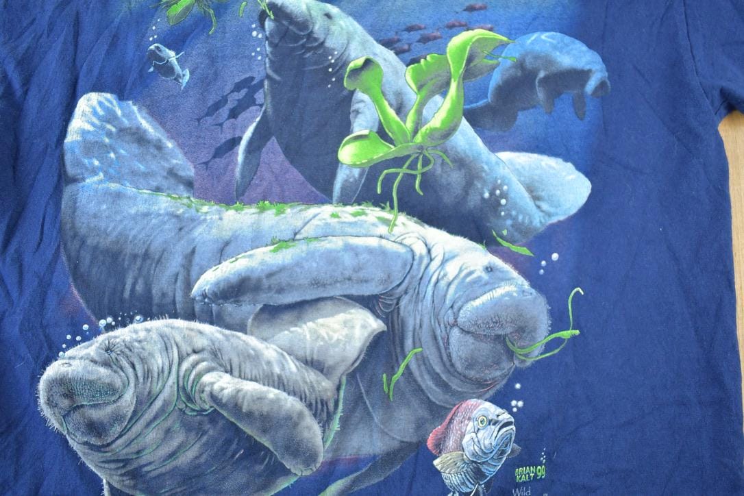 Vintage 1990s Mote Marine Lab Manatee Graphic T-Shirt Men's Large from propervintagecanada