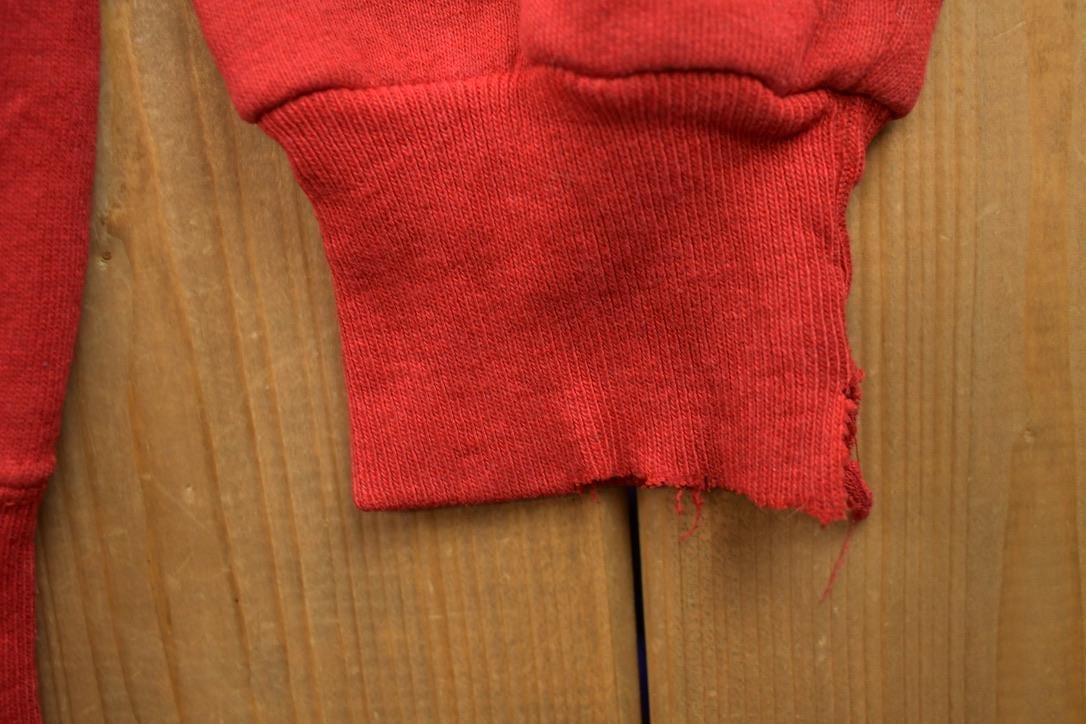 Vintage 1990s Mountain Valley Hawks Collegiate Hoodie Men's Small from propervintagecanada