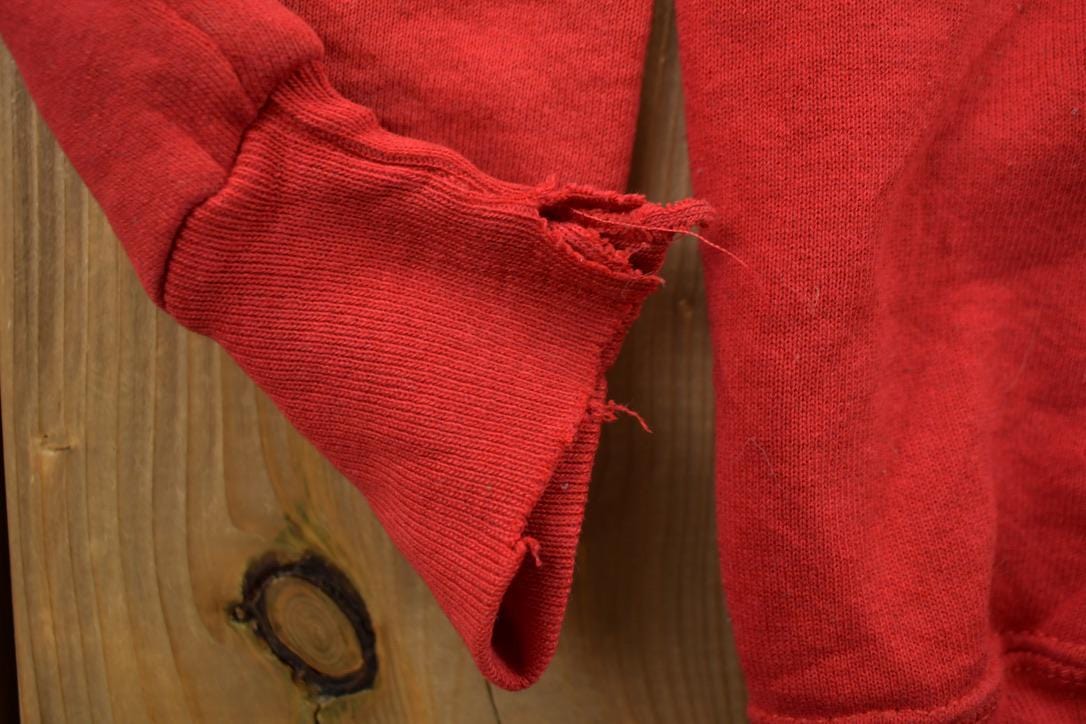 Vintage 1990s Mountain Valley Hawks Collegiate Hoodie Men's Small from propervintagecanada