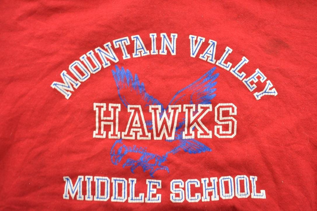 Vintage 1990s Mountain Valley Hawks Collegiate Hoodie Men's Small from propervintagecanada