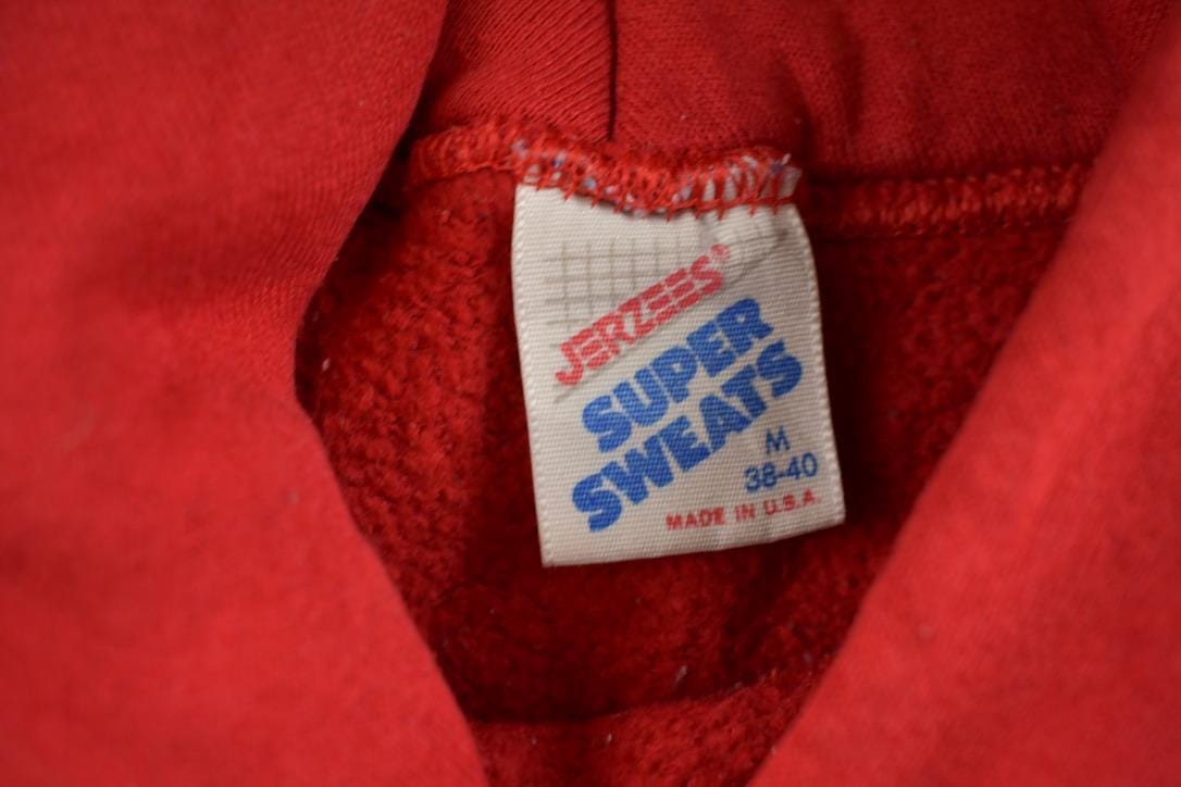 Vintage 1990s Mountain Valley Hawks Collegiate Hoodie Men's Small from propervintagecanada