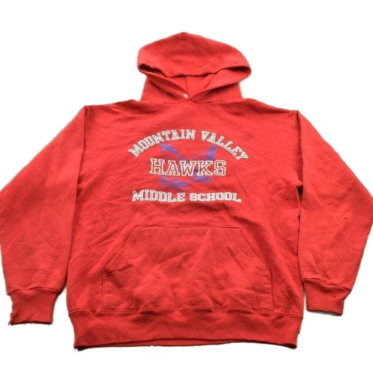 Vintage 1990s Mountain Valley Hawks Collegiate Hoodie Men's Small from propervintagecanada